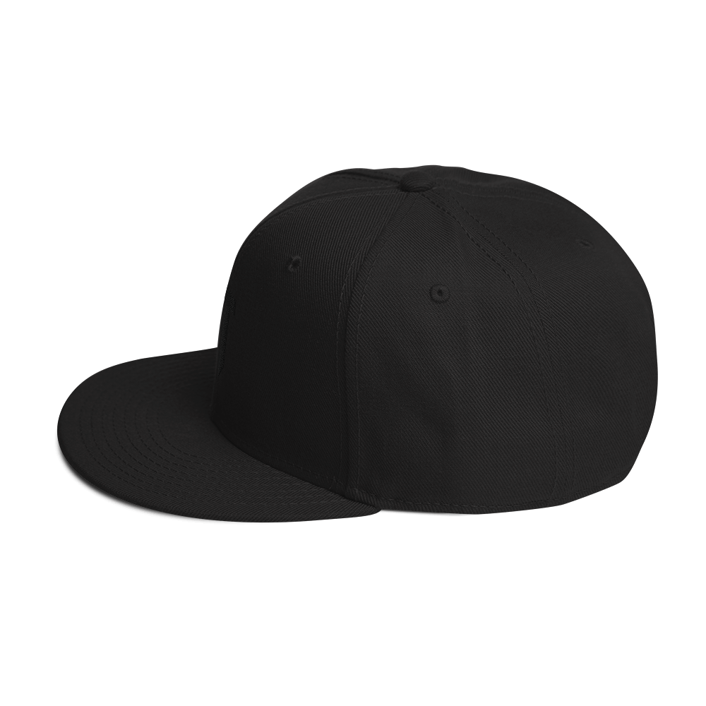 Pure Black Snapback Hat